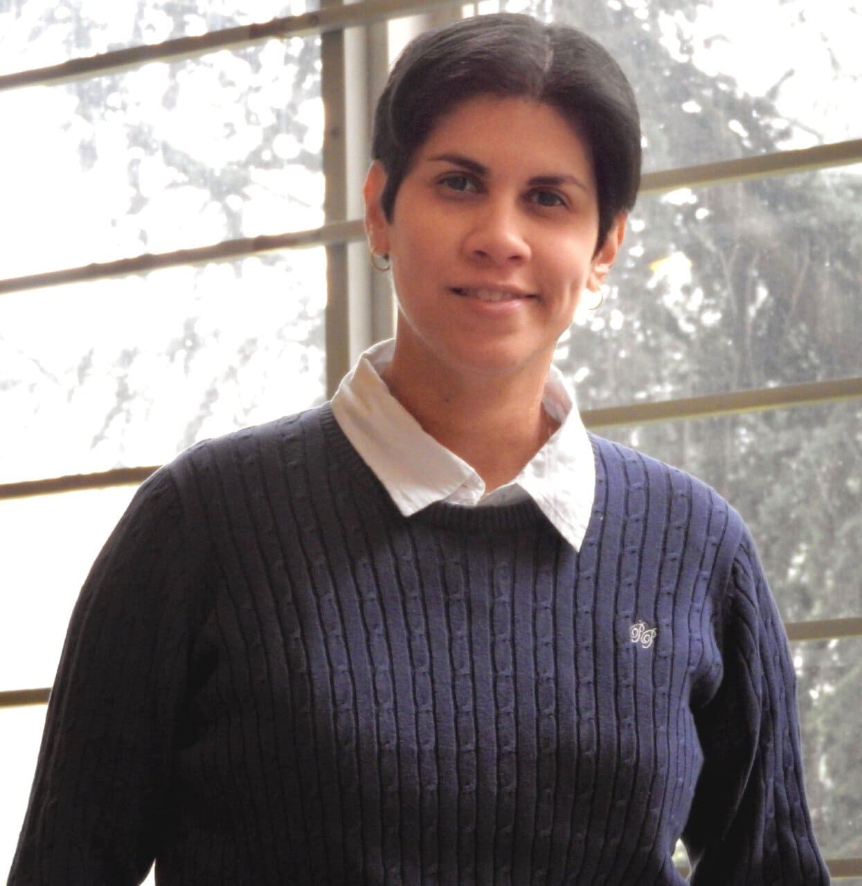 Alied Coromoto Ovalles Rincón, Docente UNIR