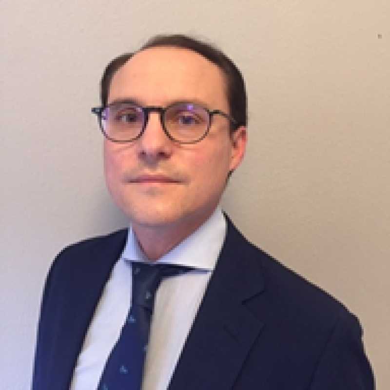 Alvaro Rosa Rivero, Docente UNIR