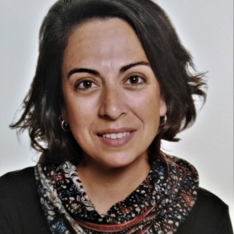 Ana Fernández Alonso, Docente UNIR