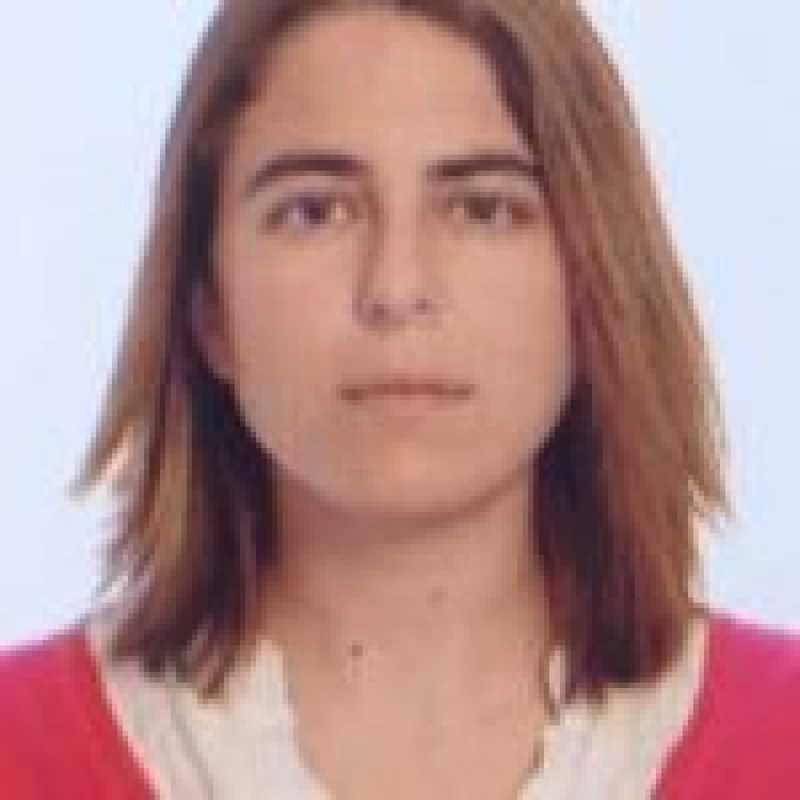 Ana Romero Girón, Docente UNIR