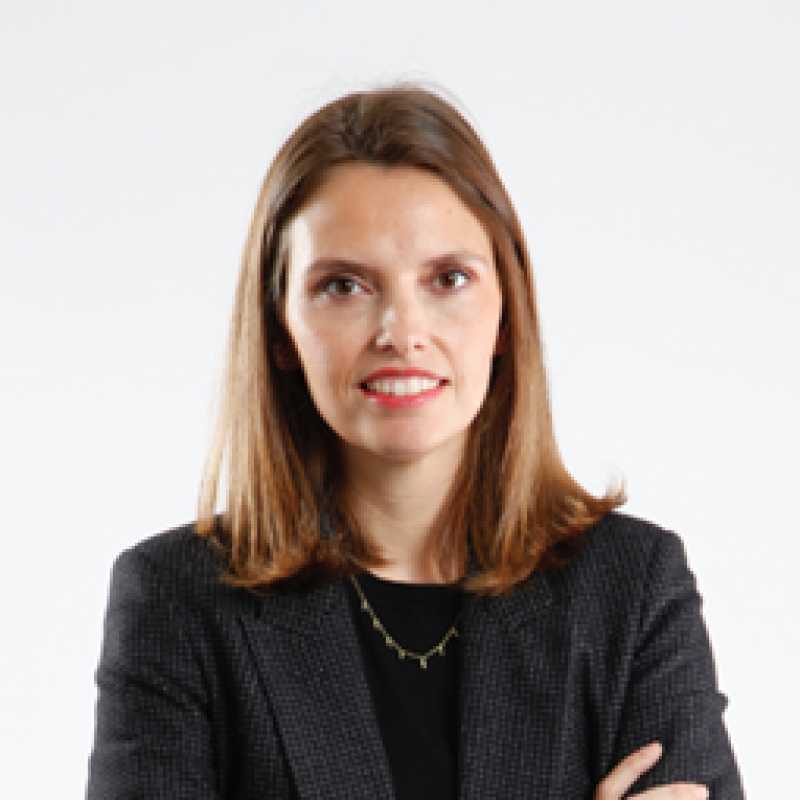 Ana Sanz, Experta asociada