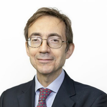 Antonio Antón y Abajo, Docente UNIR