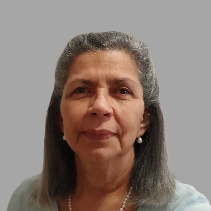 Beatriz Rosa Valles González, Docente UNIR