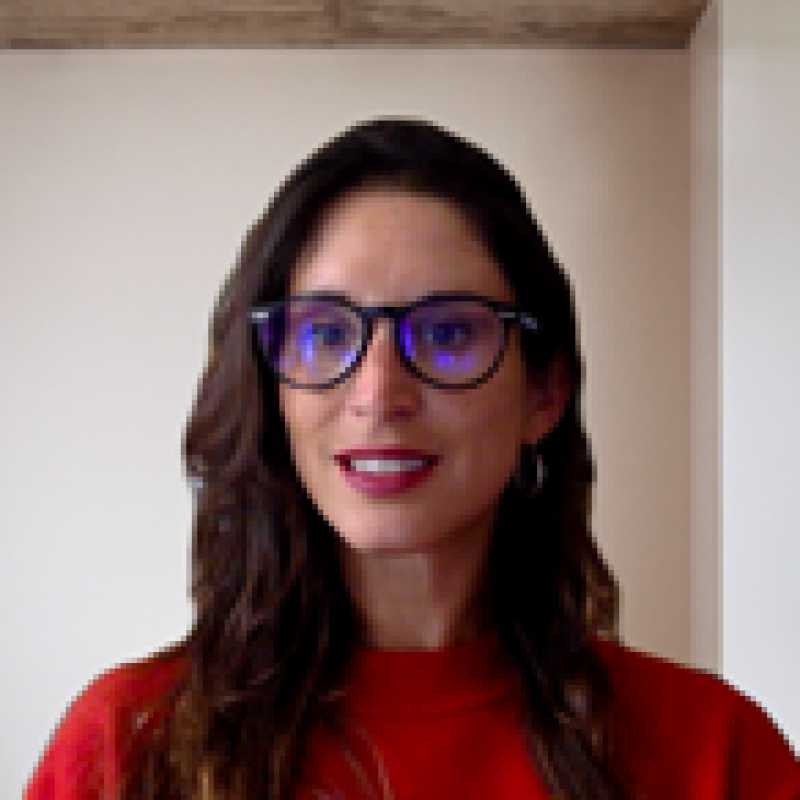 Constanza A. Ruiz Domínguez, Docente UNIR