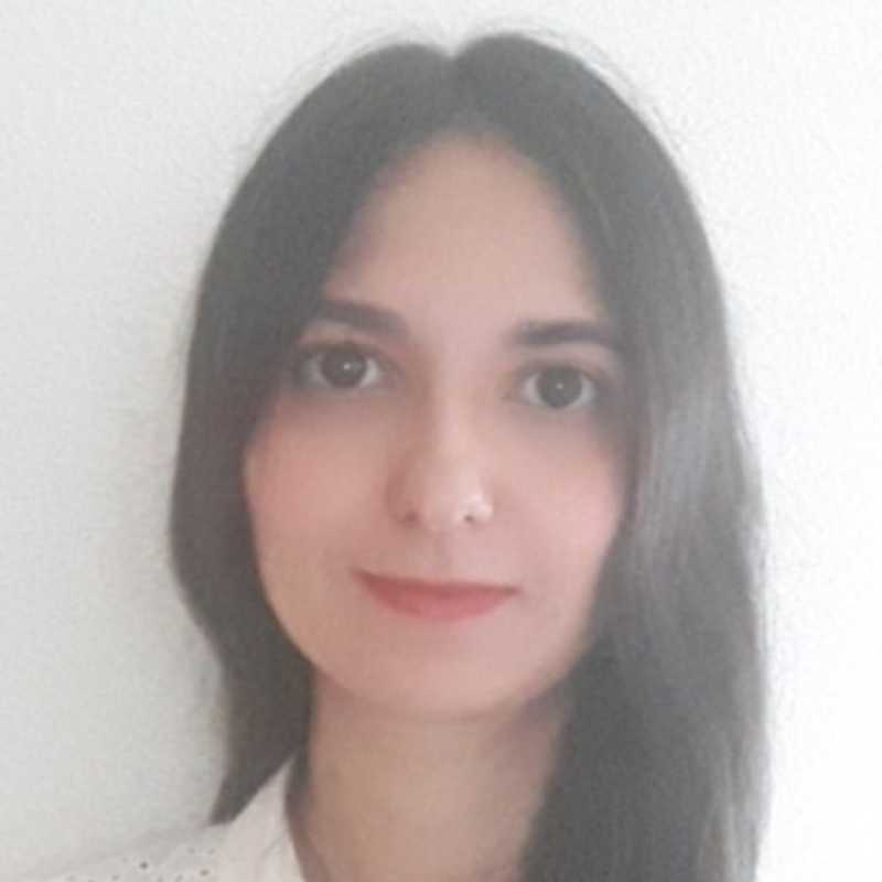 Cristina Rochel Vera, Docente UNIR