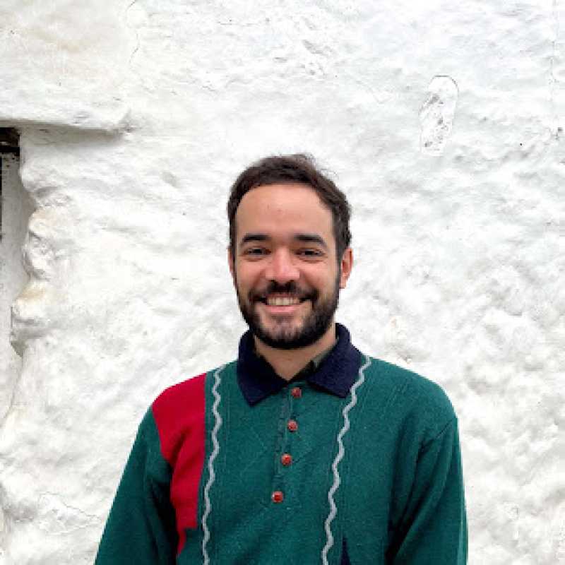 Daniel Torrego, Experto asociado