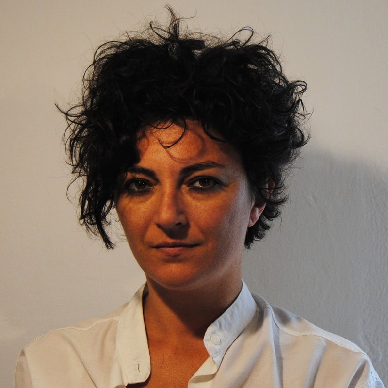 Dominique Serena Antignano, Docente UNIR