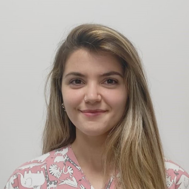 Elena Cristina Guerrero Montero, Docente UNIR