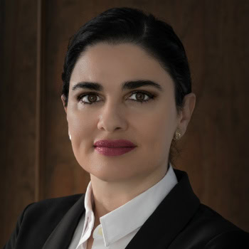 Elena Isabel Cara Fuentes, Docente UNIR