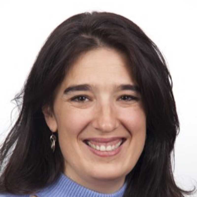 Elena Menor Ayllón, Docente UNIR