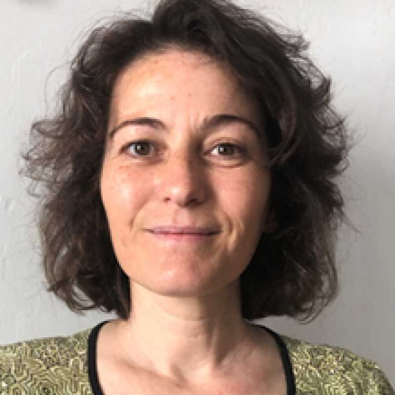 Elisabet Ransanz Reyes, Docente UNIR