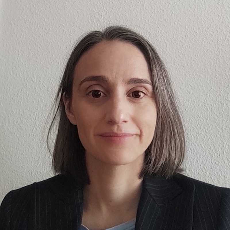 Esther Rodríguez Arroyo, Experta asociada