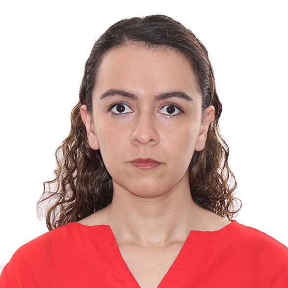 Evelyn Suceth Santamarina Mejía