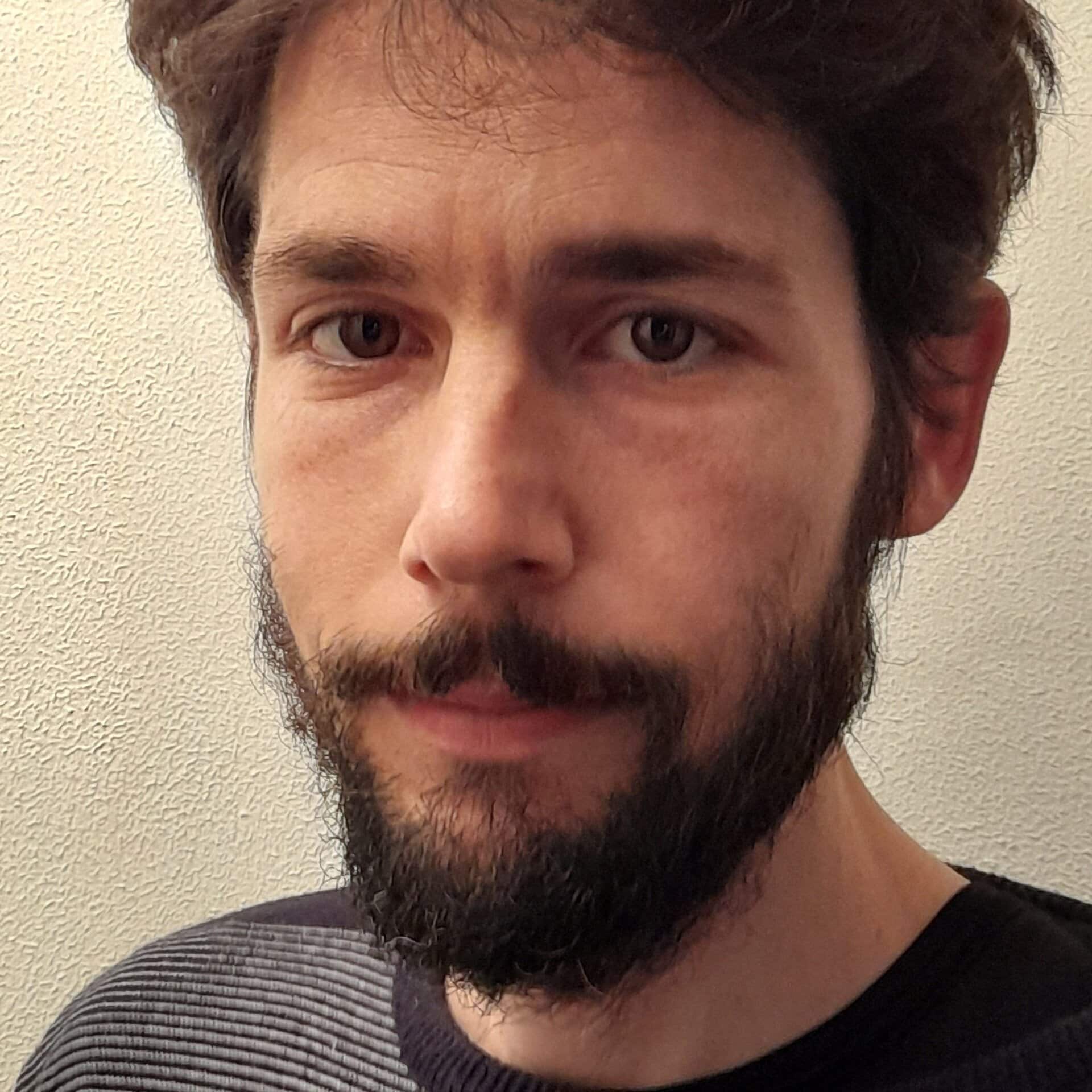 Guillermo Torralba Elipe, Docente UNIR