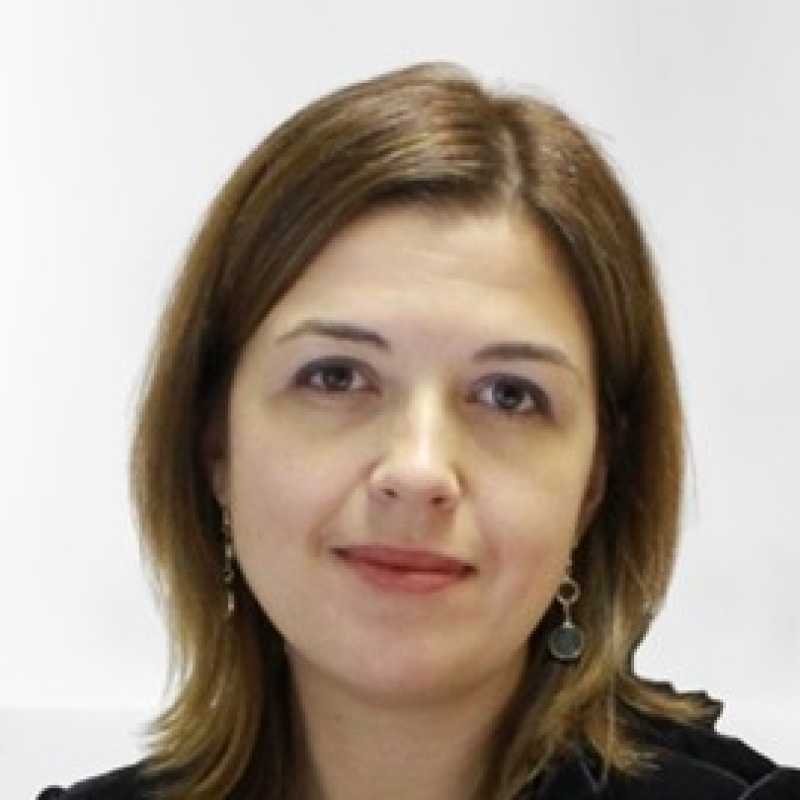 Irina Leonova, Docente UNIR