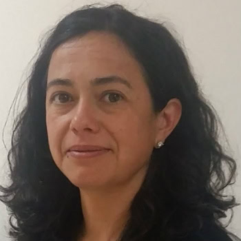 Isabel Fernández Solo de Zaldívar, Docente UNIR