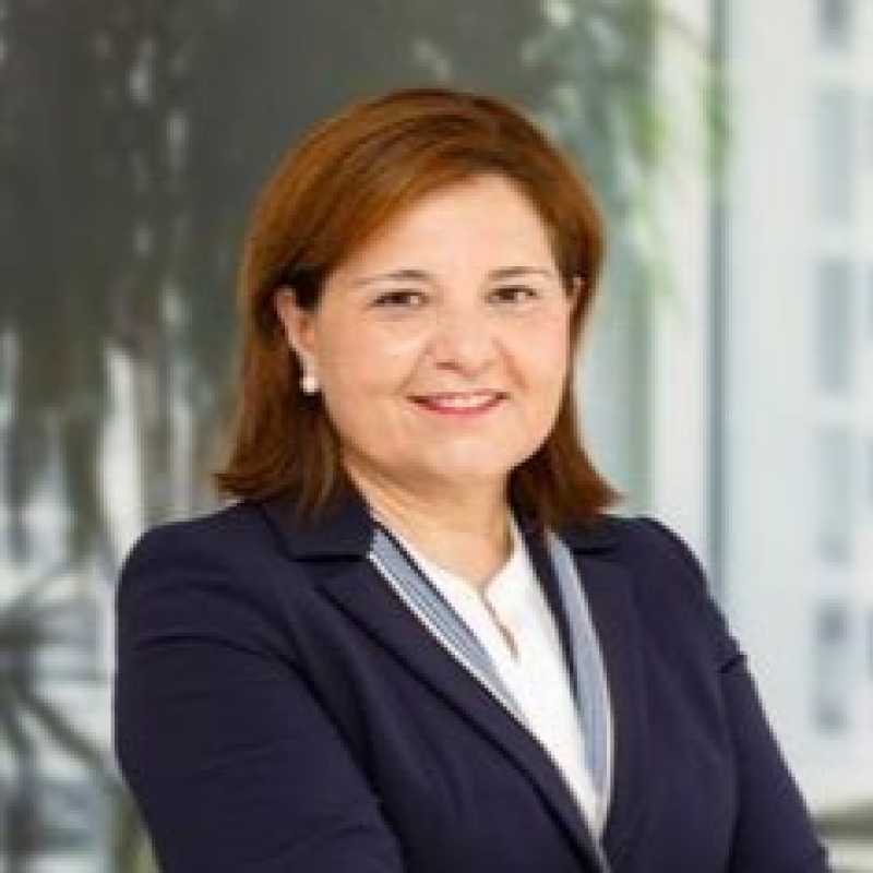 Isabel Plácida Bonig Trigueros, Docente UNIR