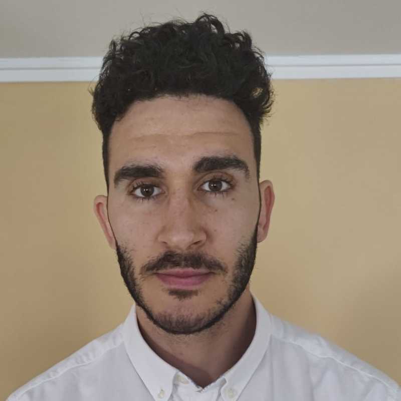 Javier Mínguez Martínez, Experto Asociado