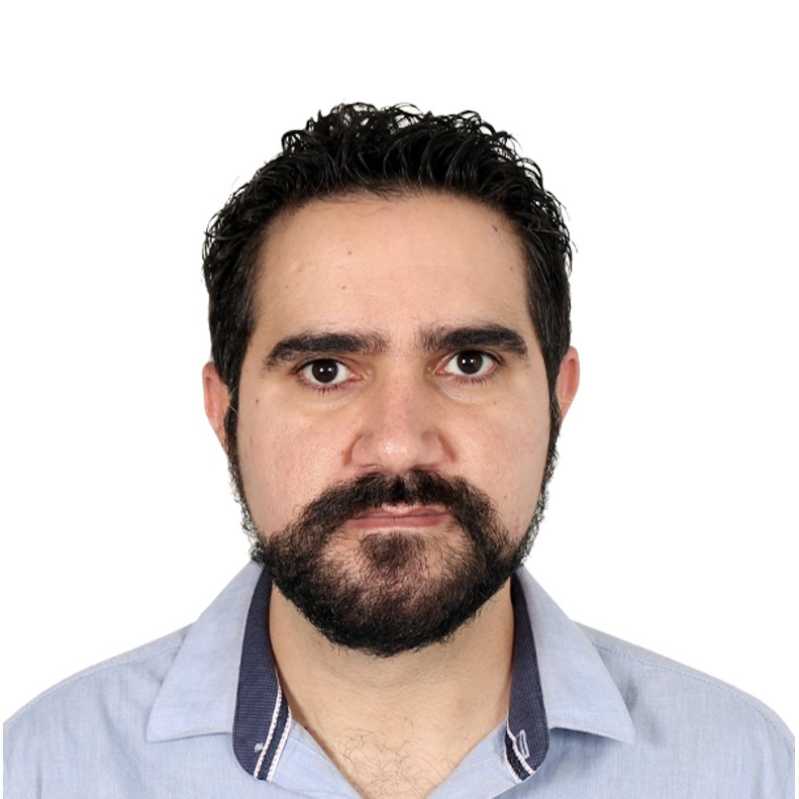 Jesús Enrique Estévez Monagas, Experto Asociado