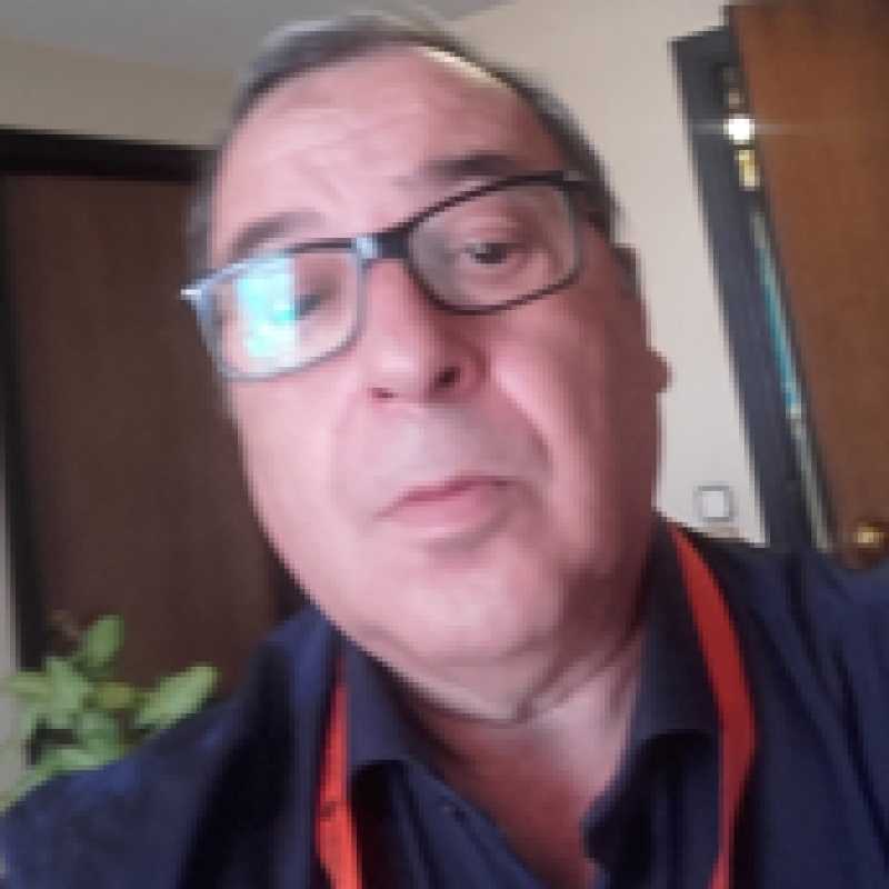 Jesús María Casal Gómez, Experto Asociado