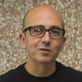 Jordi Pallarès Curto, Experto asociado