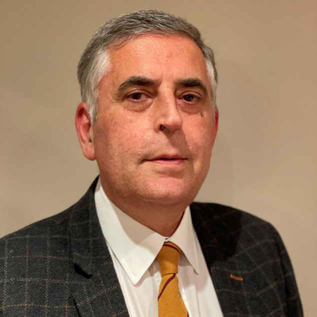 José Antonio Oteo Revuelta, Docente UNIR