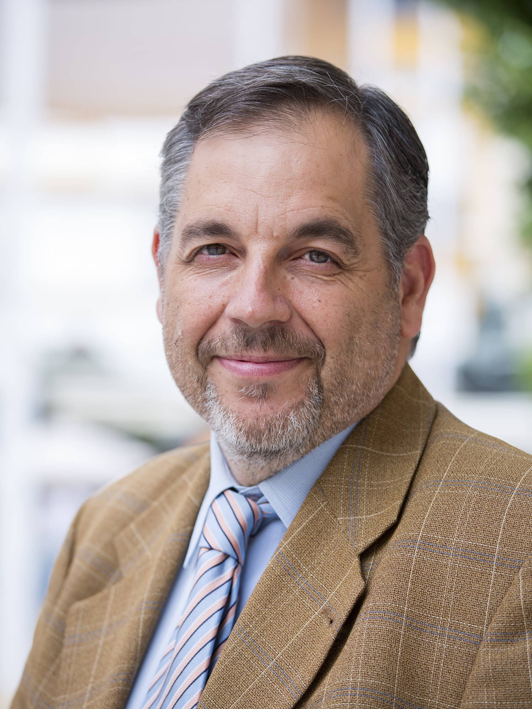 José Luis Vilaplana Villajos, Docente UNIR