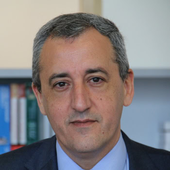 Juan Cabrera Revuelta, Experto Asociado