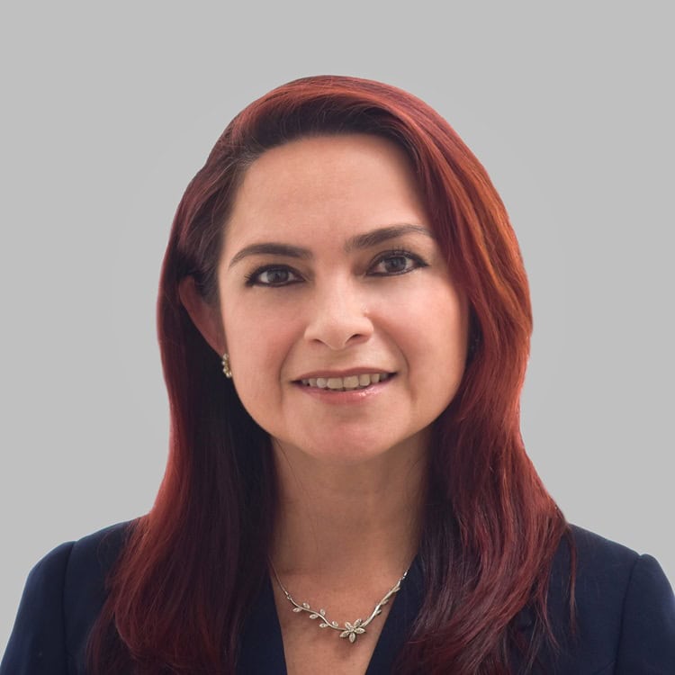 Liana Gardenia Valdiviezo Dávila, Experta asociada