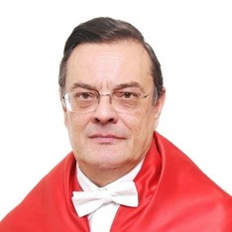 Luis Fernando Barrios Flores, Experto asociado