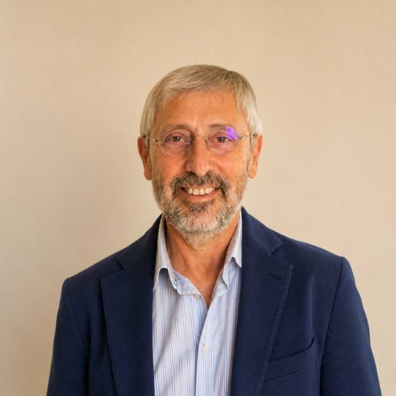 Luis García Olmos, Docente UNIR