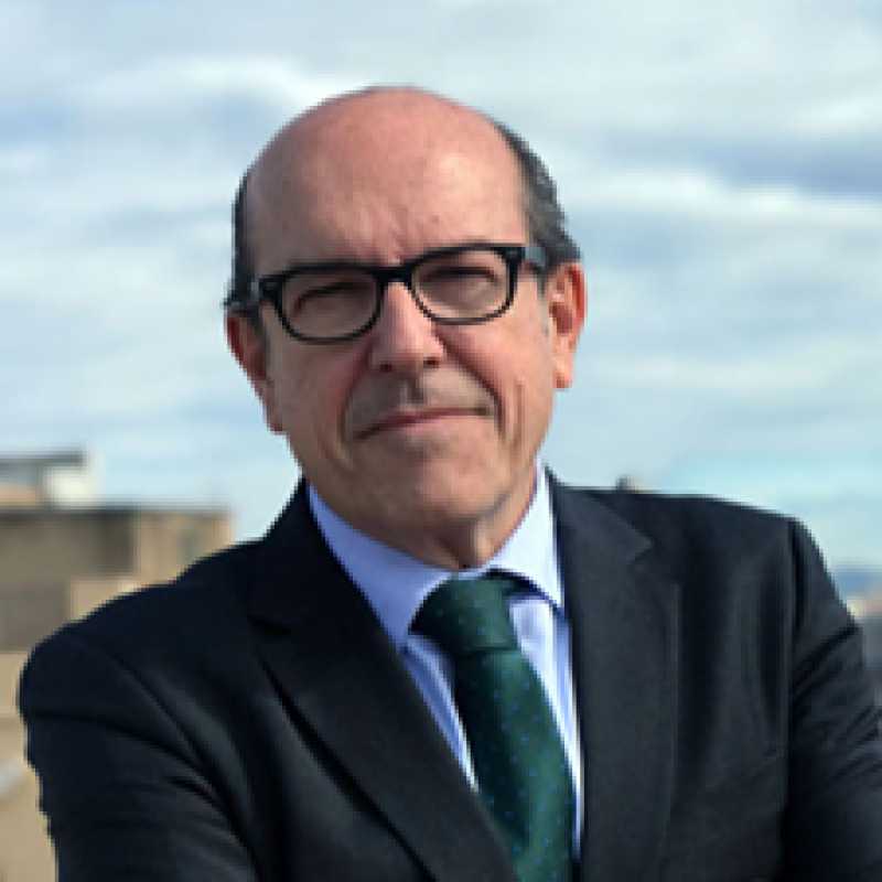 Luis San José Gras, Docente UNIR