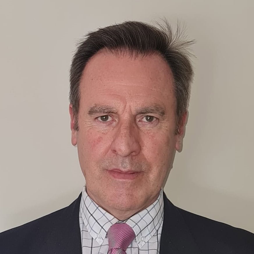 Manuel Antonio Fernández-Villacañas Marín, Docente UNIR