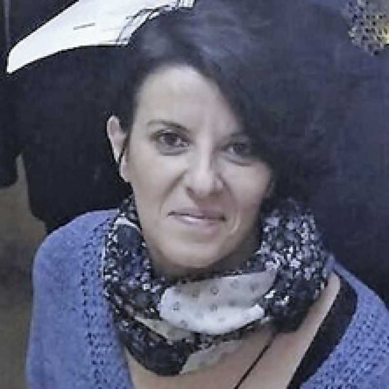 Maria Mercedes Salido López, Docente UNIR