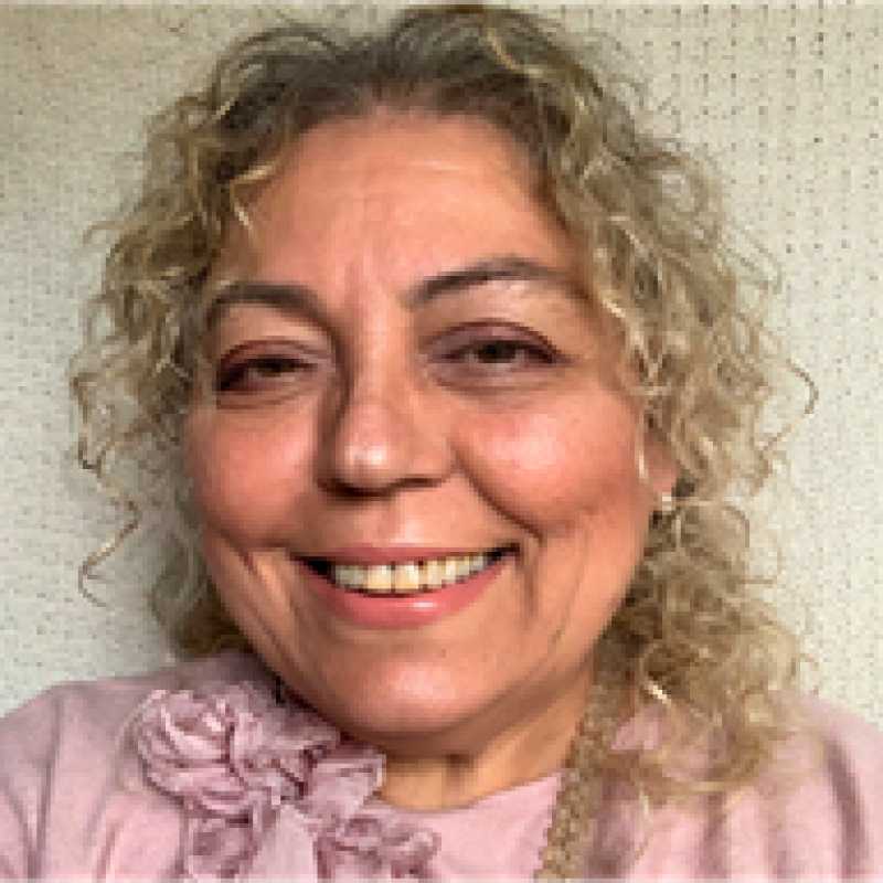 María Pilar Llopis Amorós, Experta Asociada