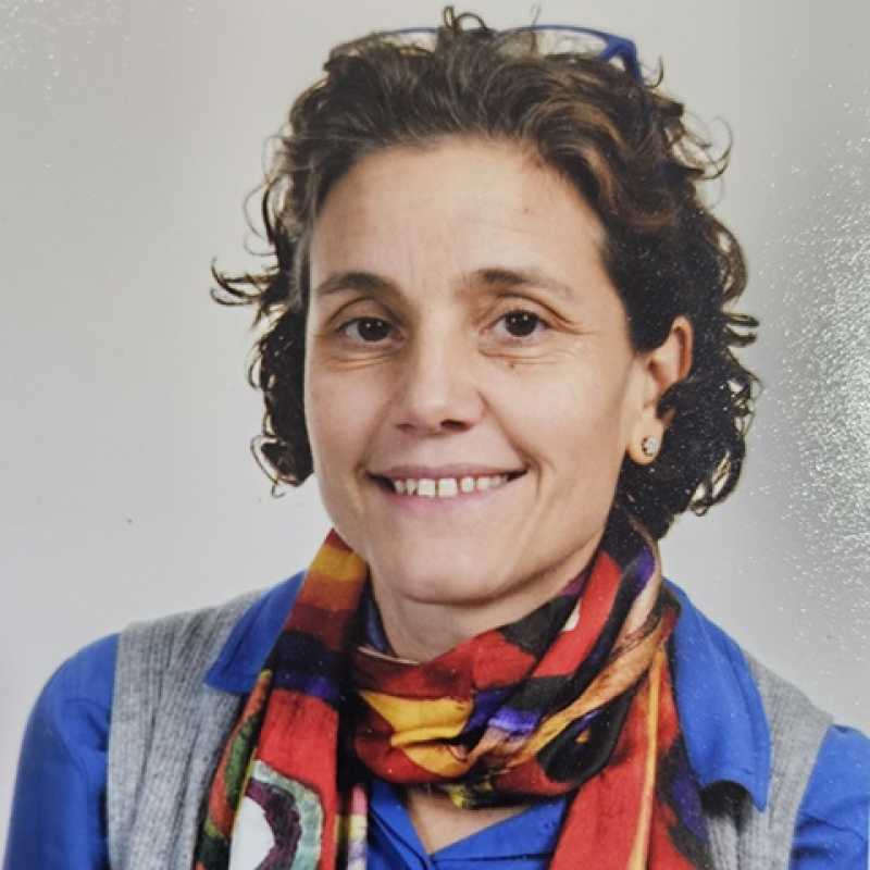 María Viniegra Cabello, Docente UNIR