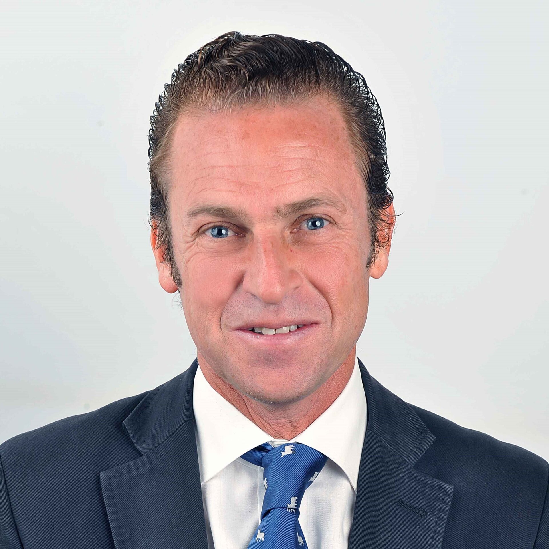 Miguel Ángel Llano Irusta, Docente UNIR