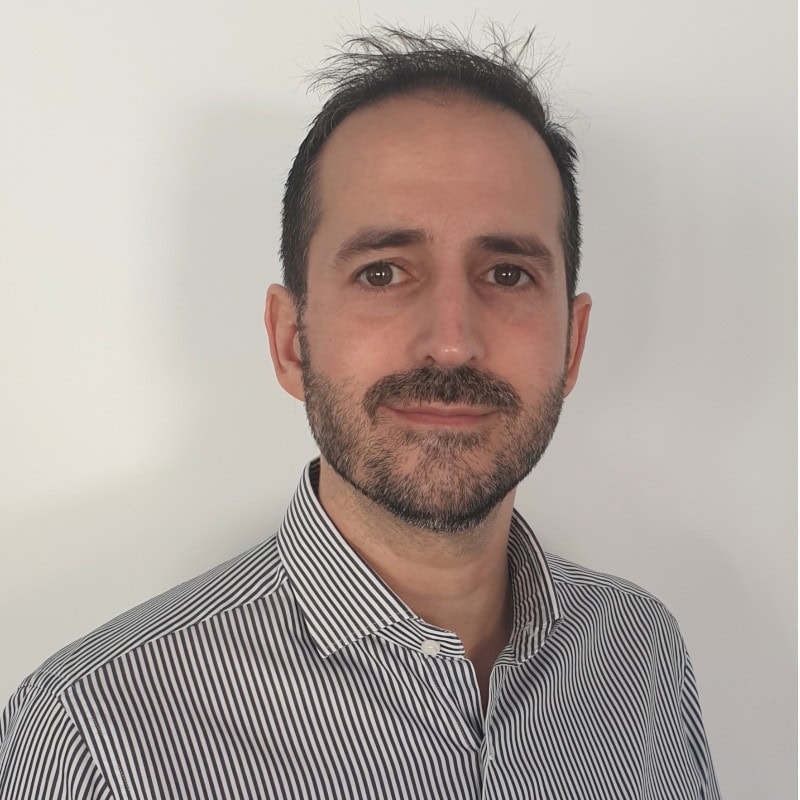 Miguel Ángel Savall Mata, Docente UNIR