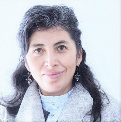 Mónica Tesalia Valcárcel Bustos, Docente UNIR