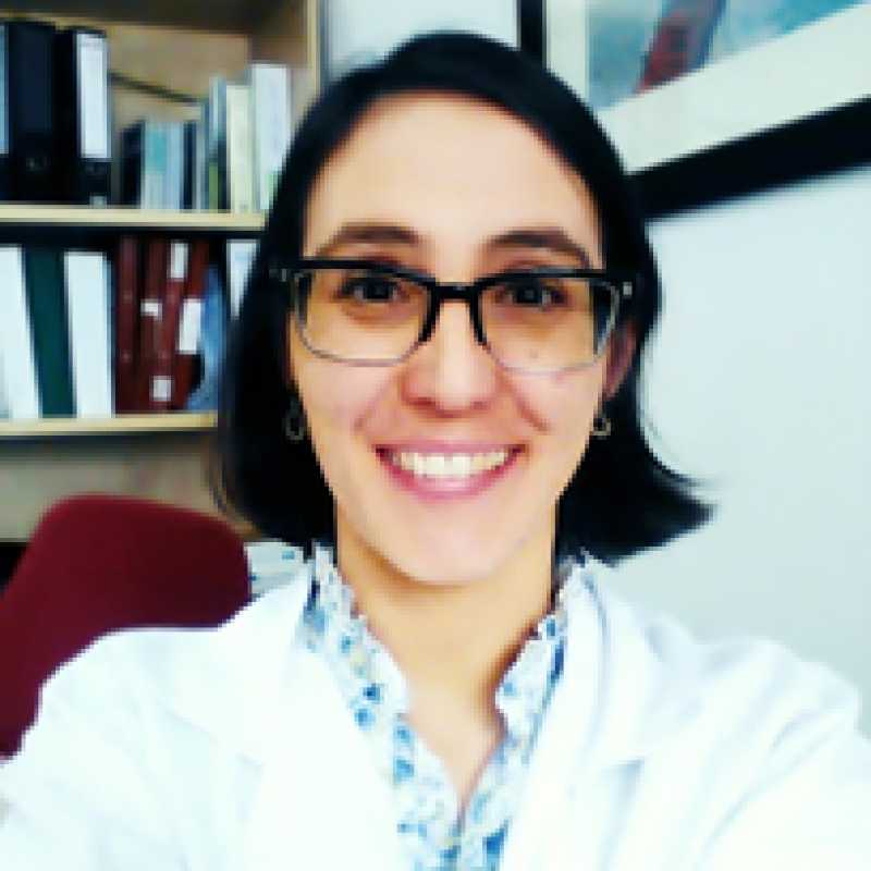 Nieves López Fresneña, Coordinadora académica