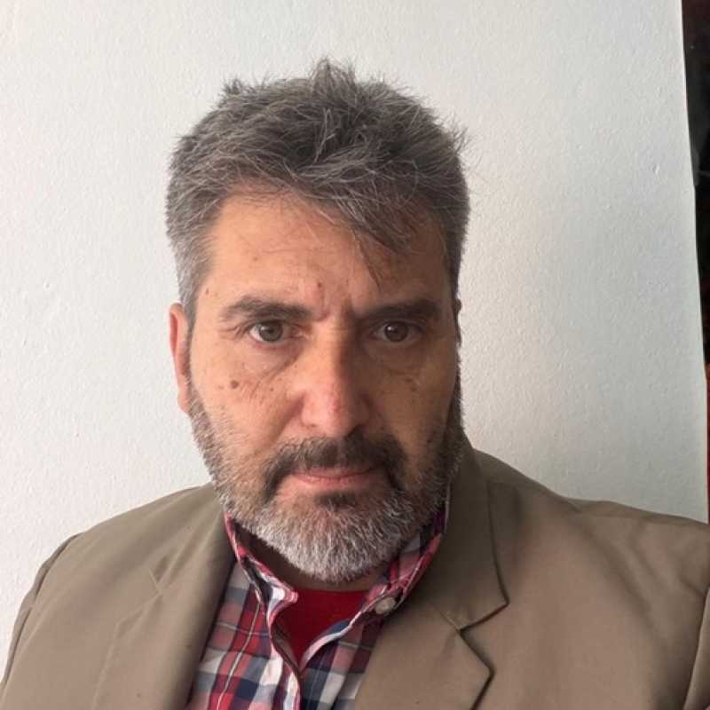 Pedro Carlos Martínez Suárez, Docente UNIR