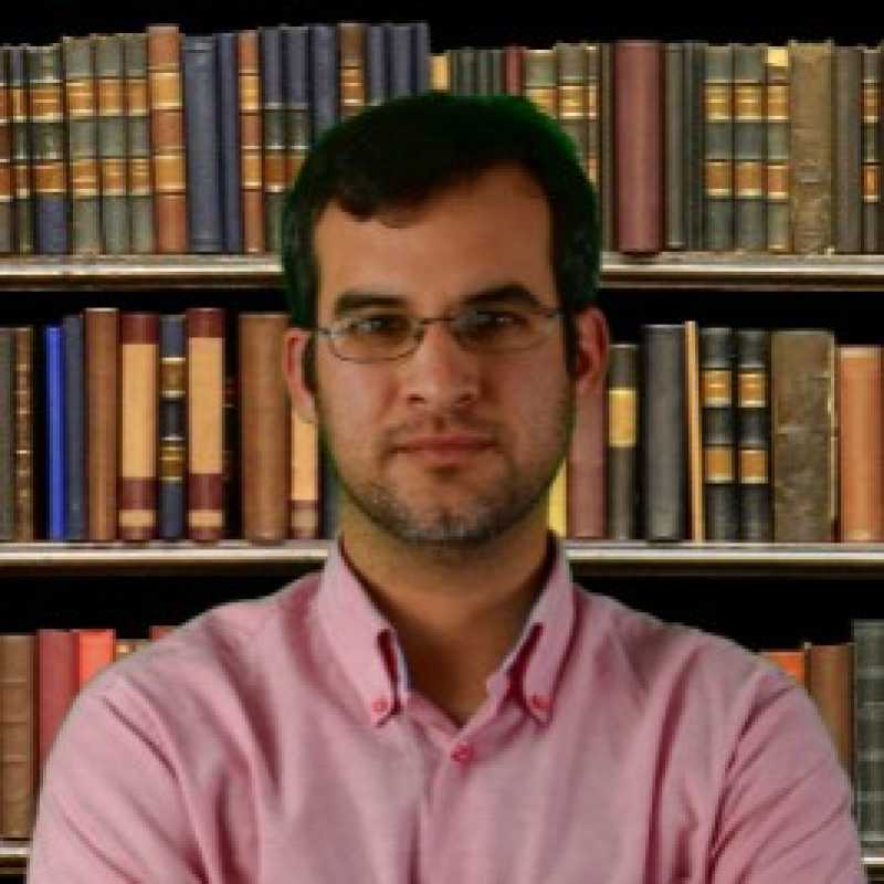 Rafael Repiso Caballero, Experto Asociado