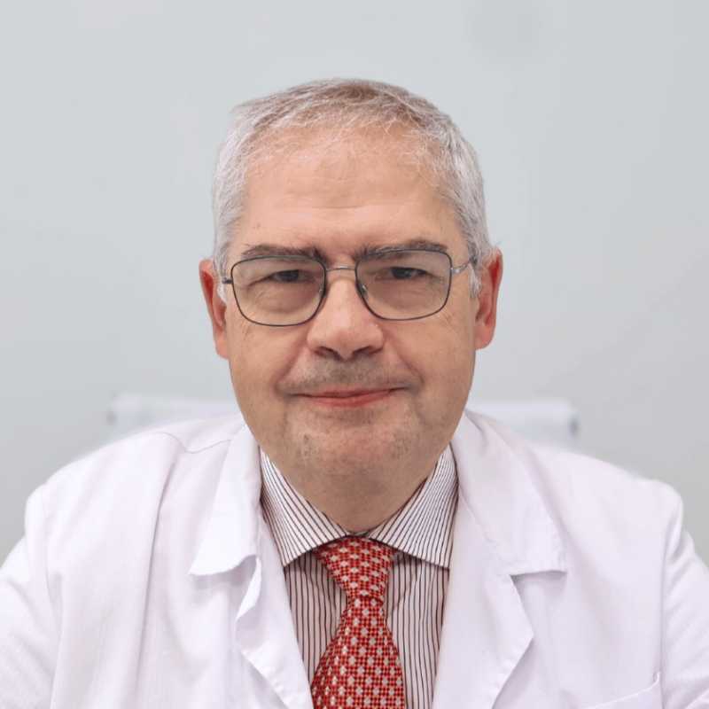 Raimundo Gutiérrez Fonseca, Docente UNIR