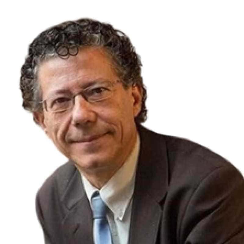 Reynaldo Fernandez Manzano, Experto Asociado