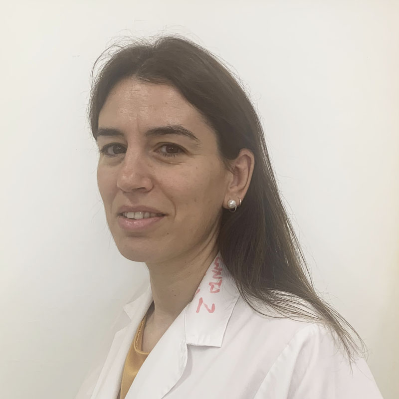 Selma Benito Martínez, Docente UNIR