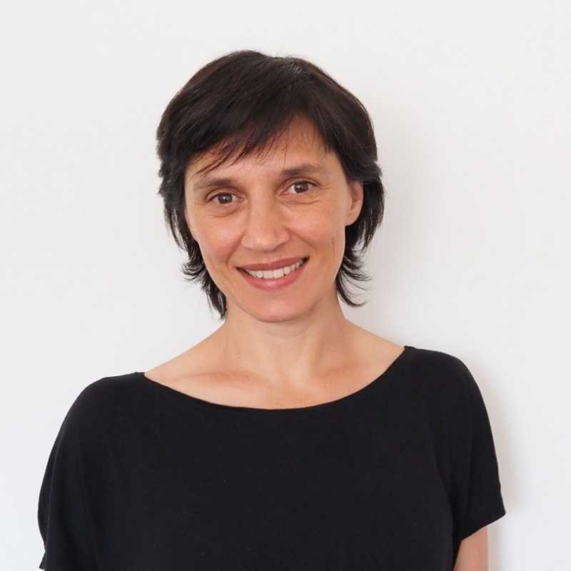 Verónica Sánchez Carrera, Experta asociada