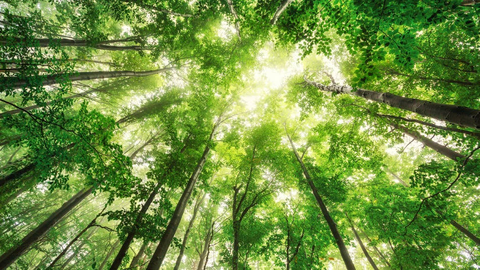 ISO 14001