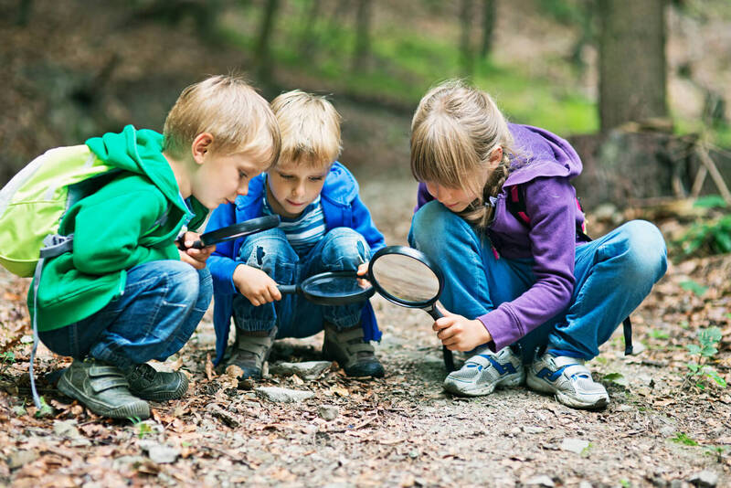 Niños exploran en el bosque.