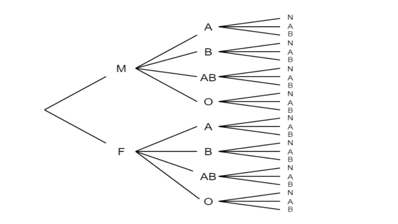 Diagrama de árbol permite identificar las tareas necesarias para llegar a una solución.