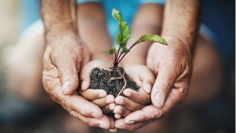 Derecho ambiental - Unión Europea - COVID19